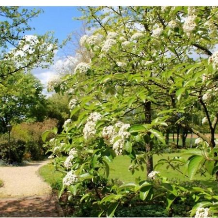 Chambres D'Hotes Les Vignes Montcet Kültér fotó